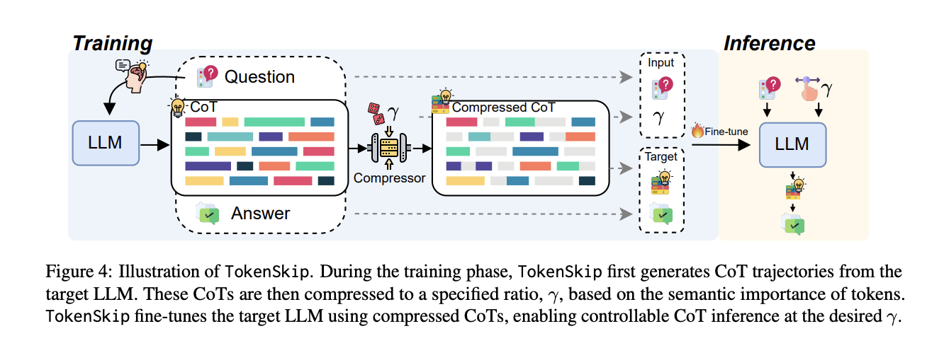 Tokenskip: नियंत्रणीय टोकन संपीड़न के माध्यम से LLMS में चेन-थिंकिंग को इष्टतम पुटिमाइजिंग करना